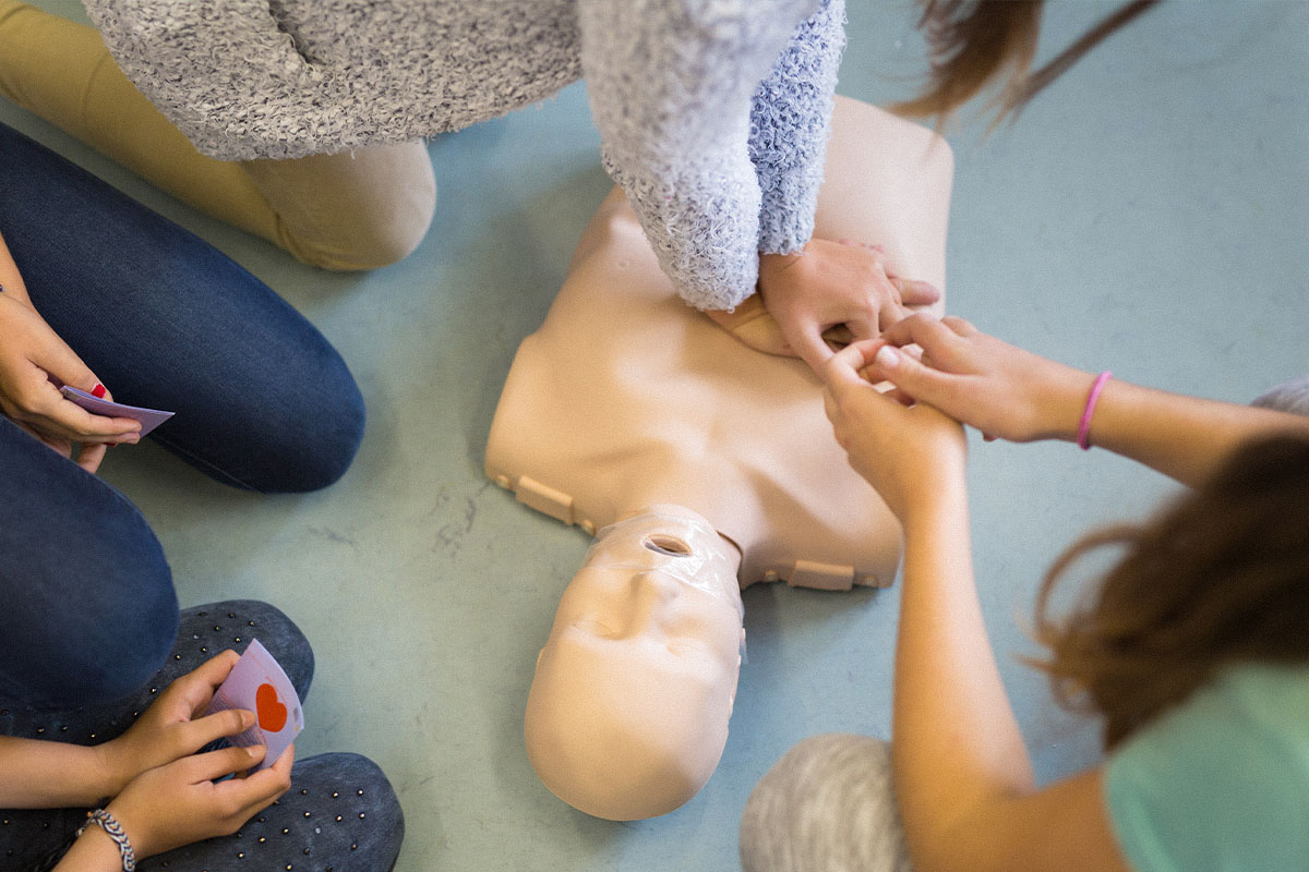 Grundschulung zum Bären‑Trainer