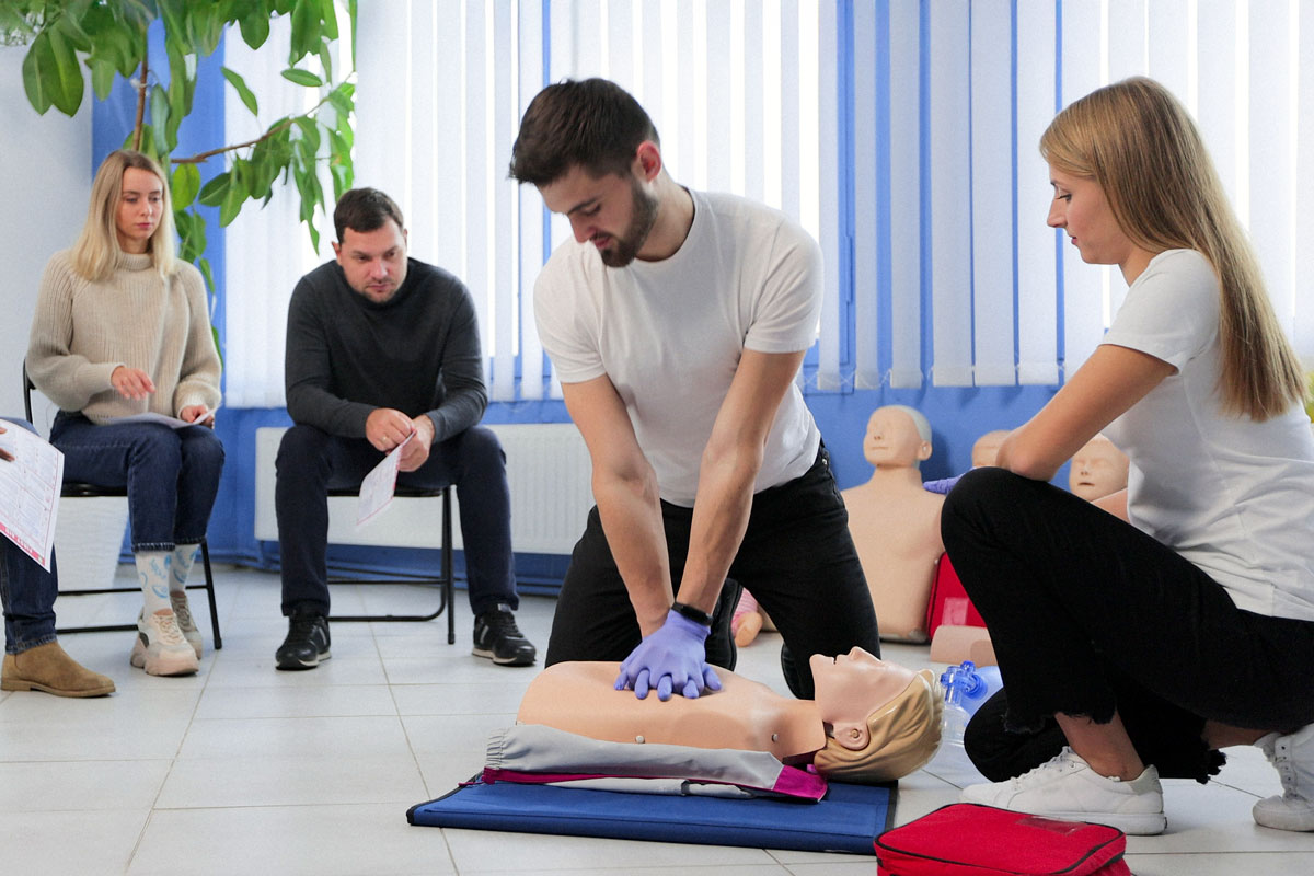 Weiterbildung zum Bären-Coach